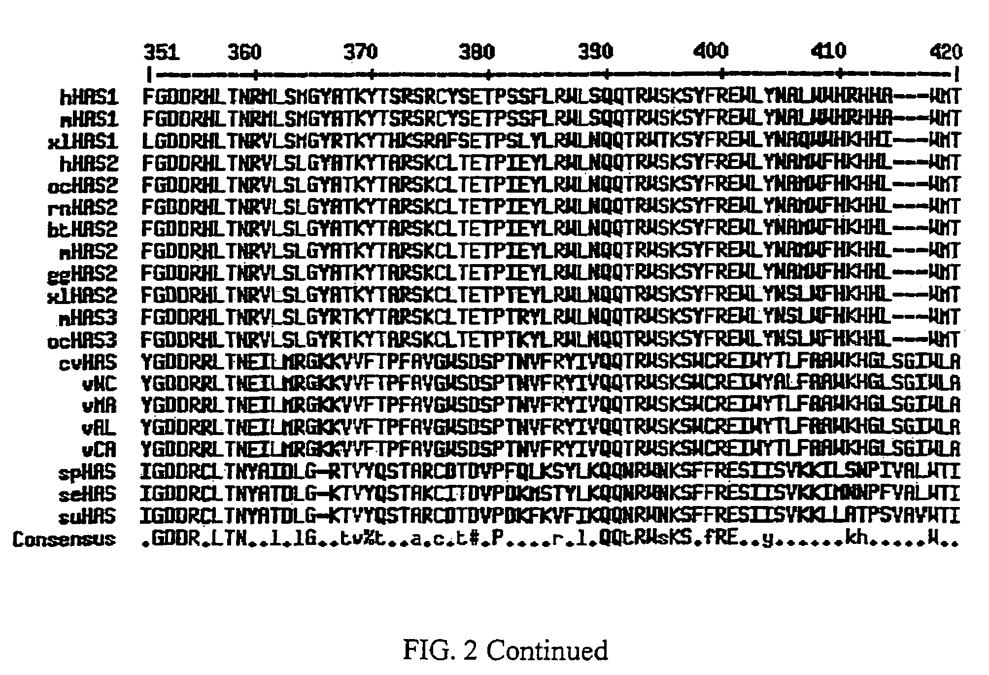 Hyaluronan synthase genes and expression thereof in <i>Bacillus </i>hosts