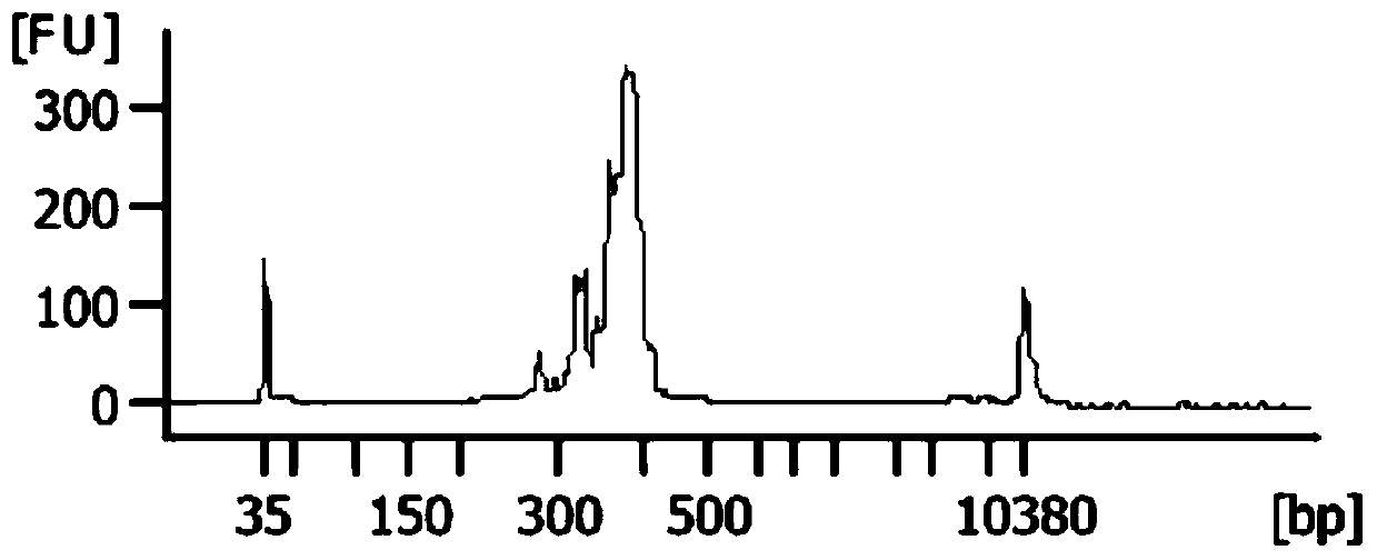 A kind of multiplex PCR primer for amplifying brca1/2 gene and a kind of design method of multiplex PCR primer