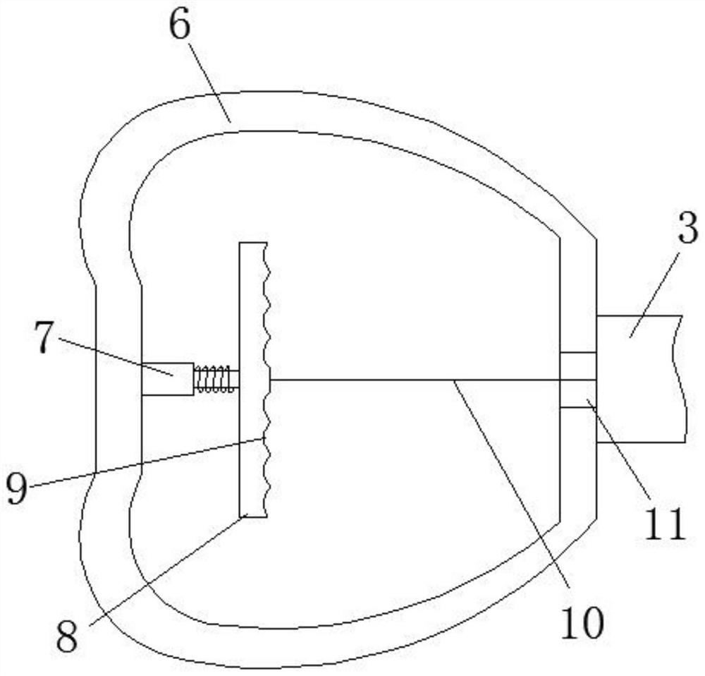 Agricultural seed sowing device with quantitative function