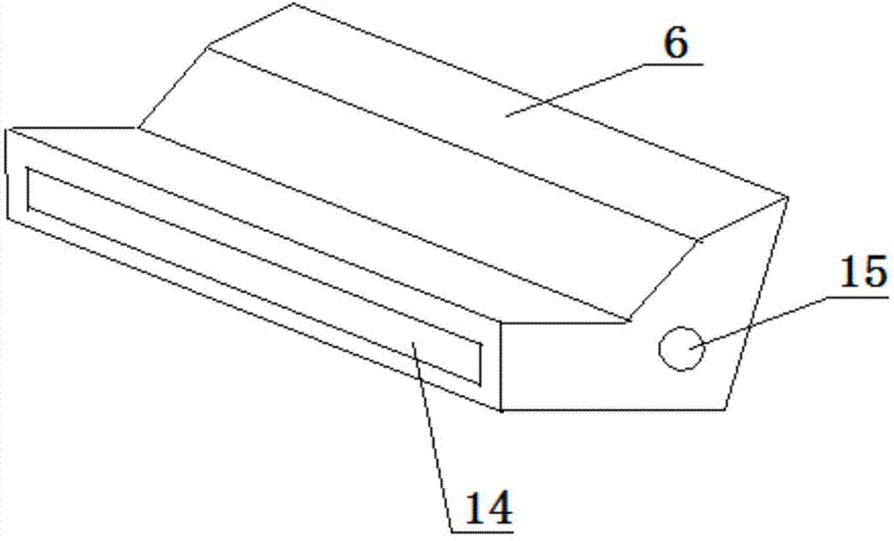 Broad leaved plant vein measuring instrument