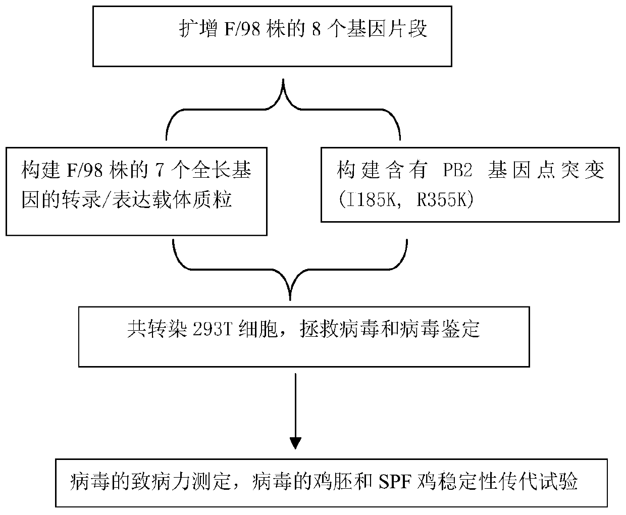 Recombinant H9N2 avian influenza virus strain, preparation method thereof, avian influenza vaccine and application thereof