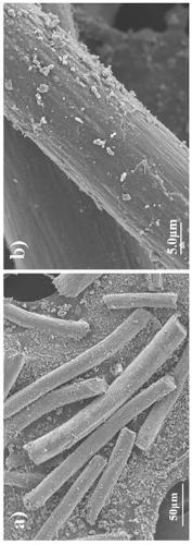 Preparation method of electro-Fenton cathode material based on carbon felt-supported iron nanoparticles and application of electro-Fenton cathode material in degradation of organic pollutants in water