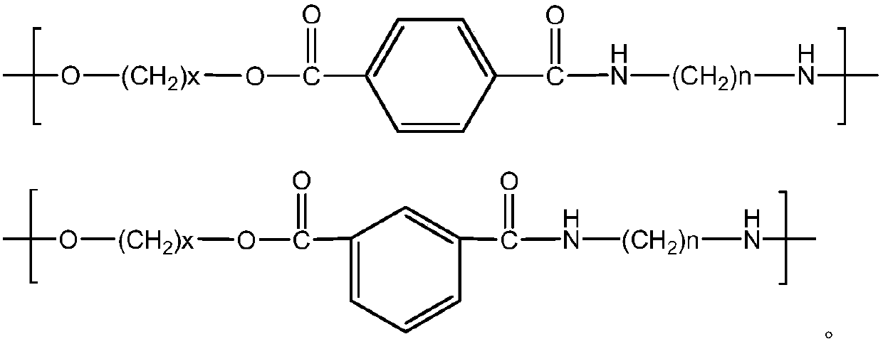 Polyester amide and preparation method thereof