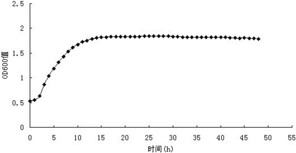 Human Lactobacillus fermentum grx07 and its application