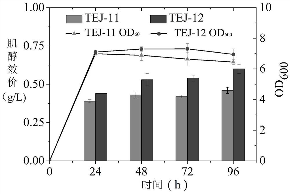 Engineering bacterium for producing inositol as well as construction method and application of engineering bacterium