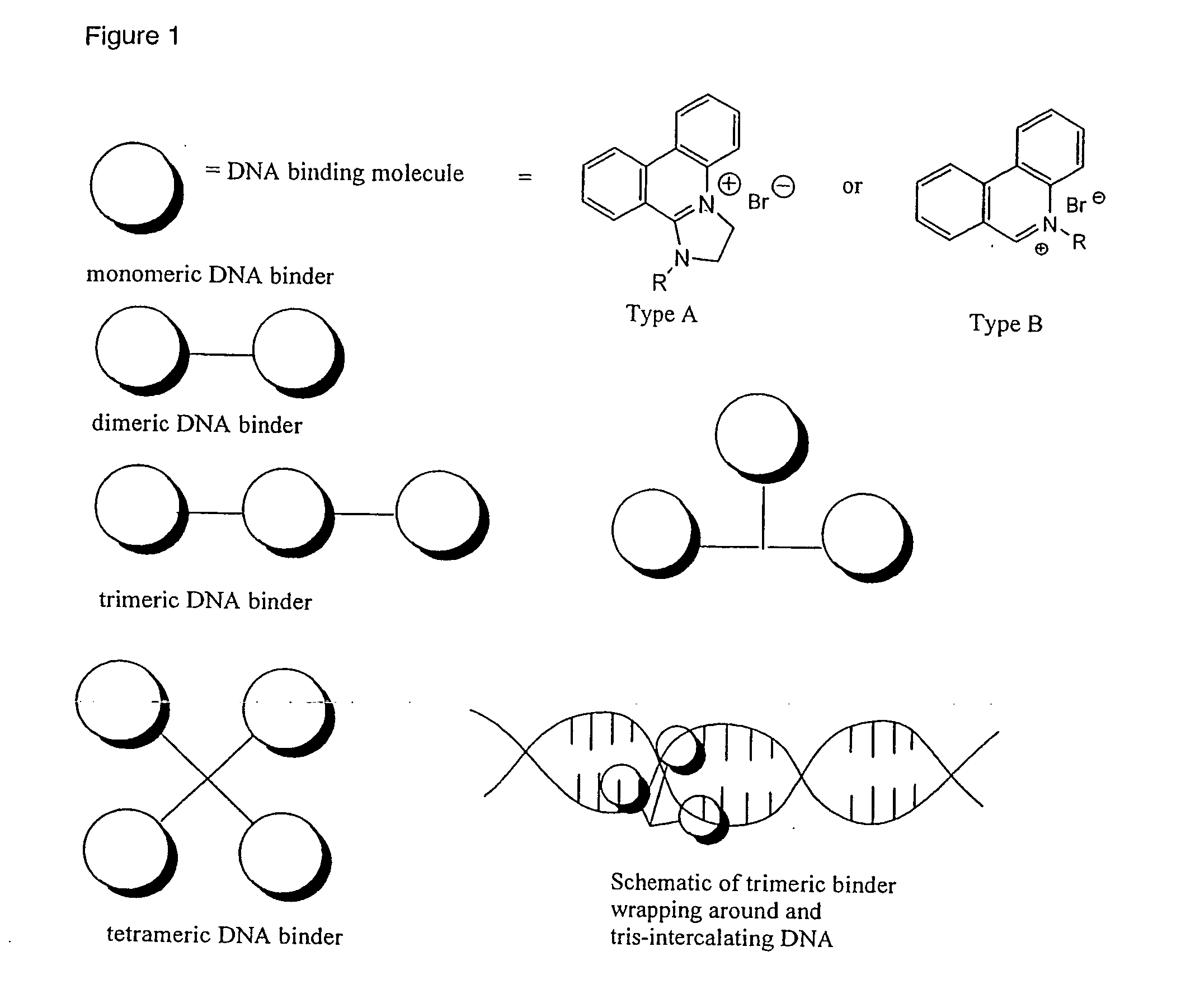 Phenanthridinium Derivatives as Dna Binding Agents