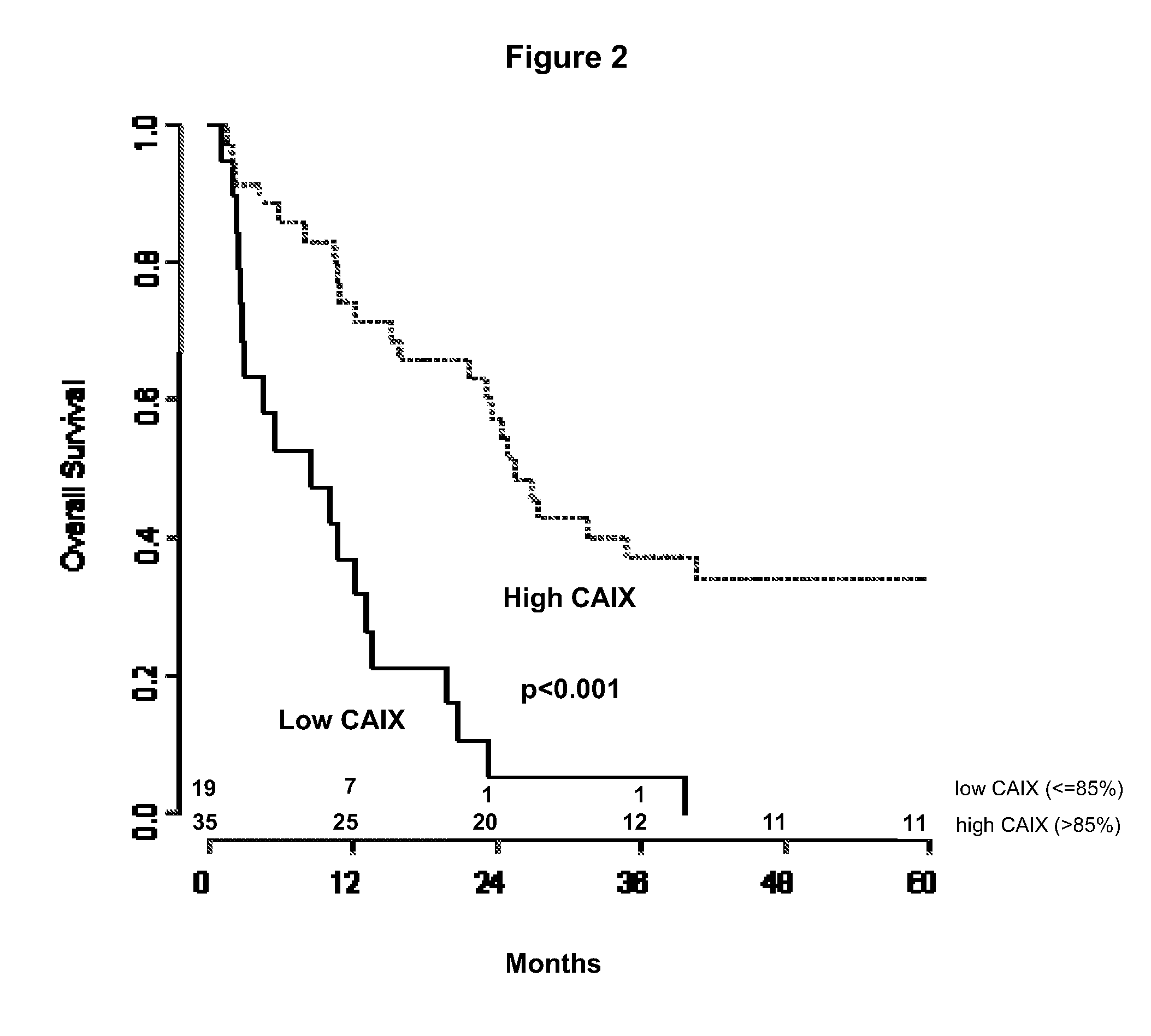 CA9 gene single nucleotide polymorphisms predict prognosis and treatment response of metastatic renal cell carcinoma