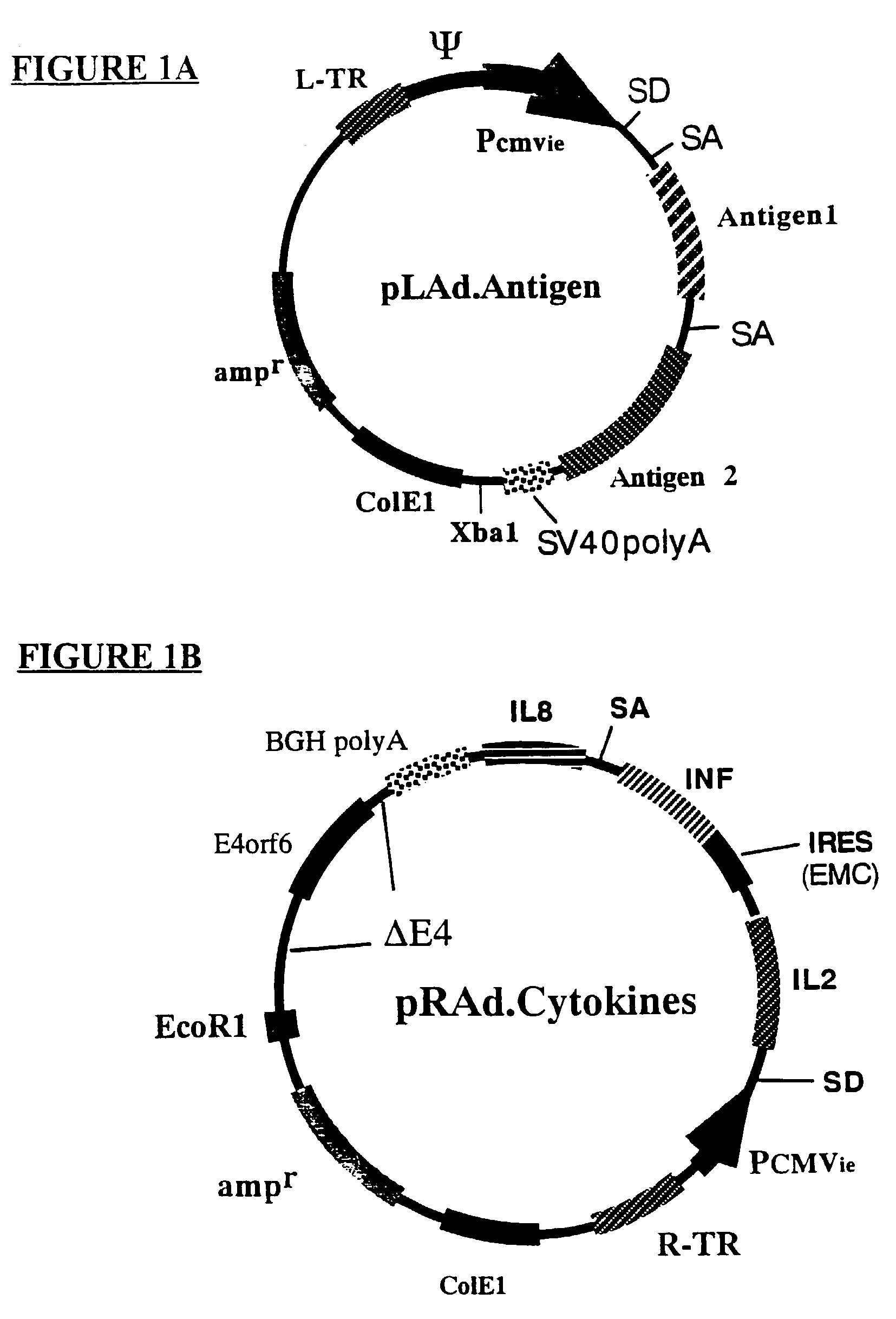 Method of vaccination through serotype rotation