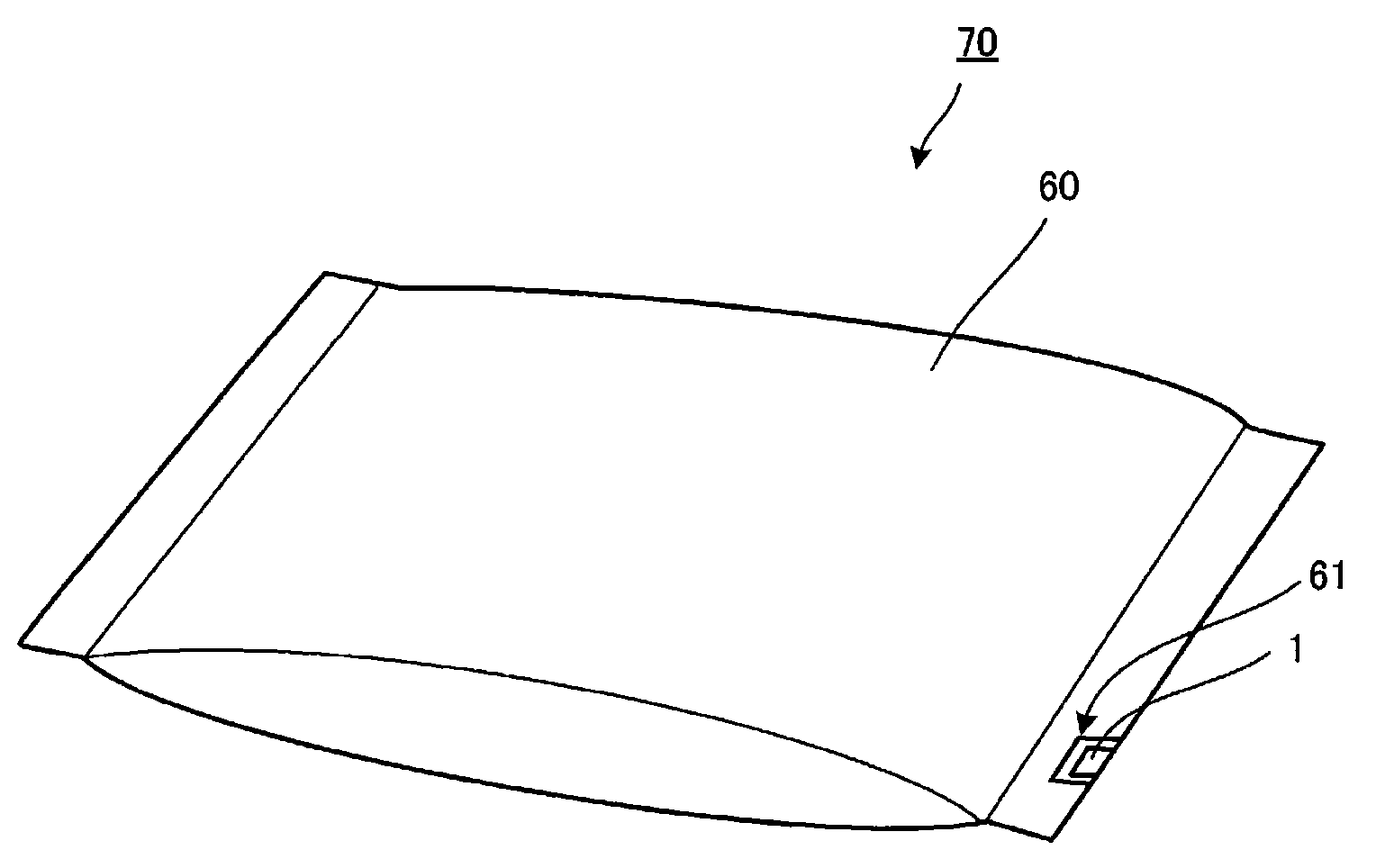 Radio IC device and component for radio IC device