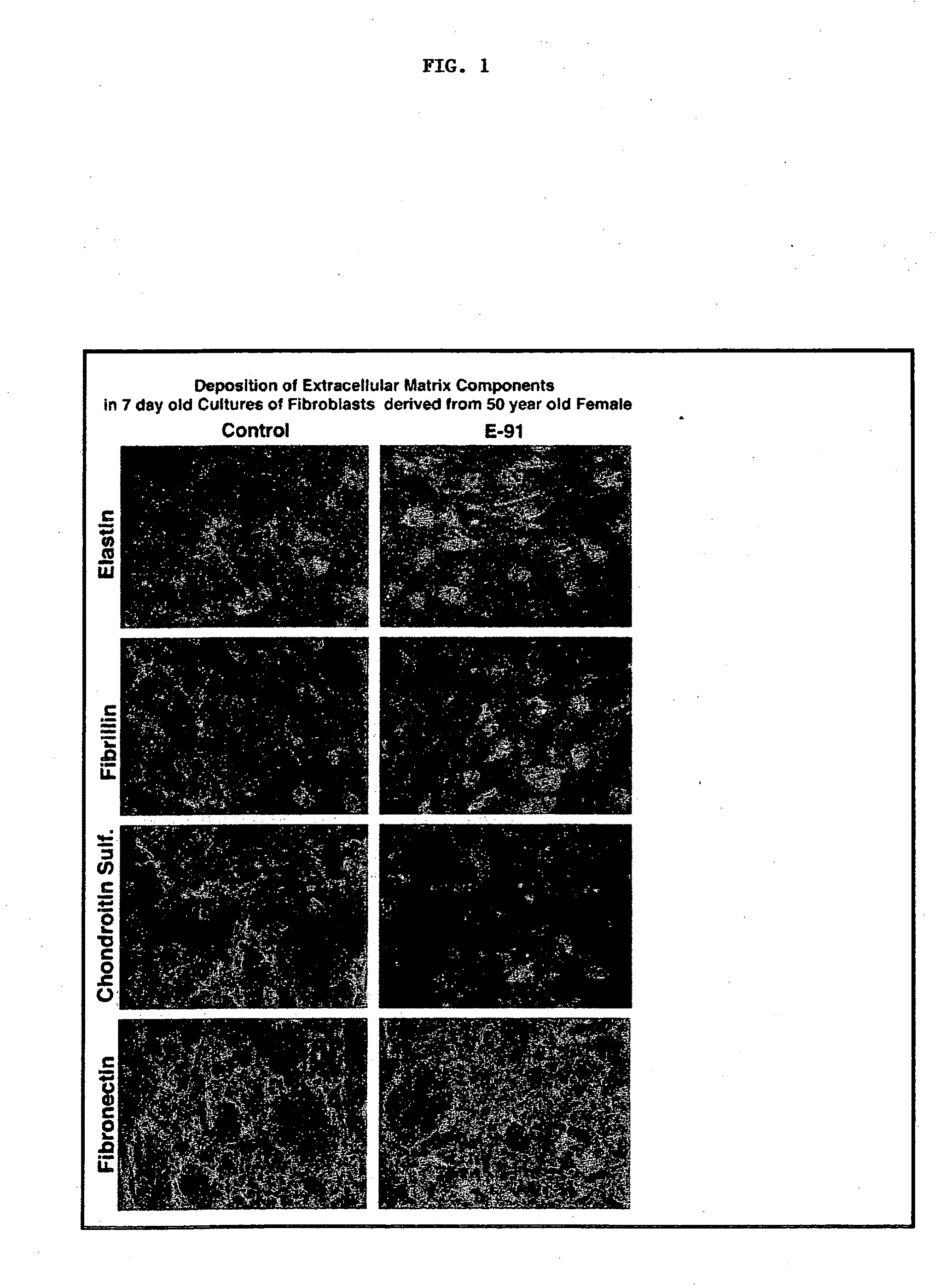 Elastin digest compositions and methods utilizing same