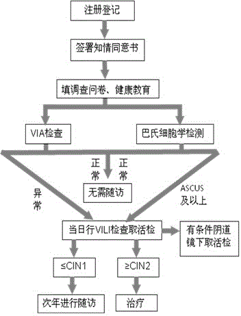 Cervical carcinoma screening method