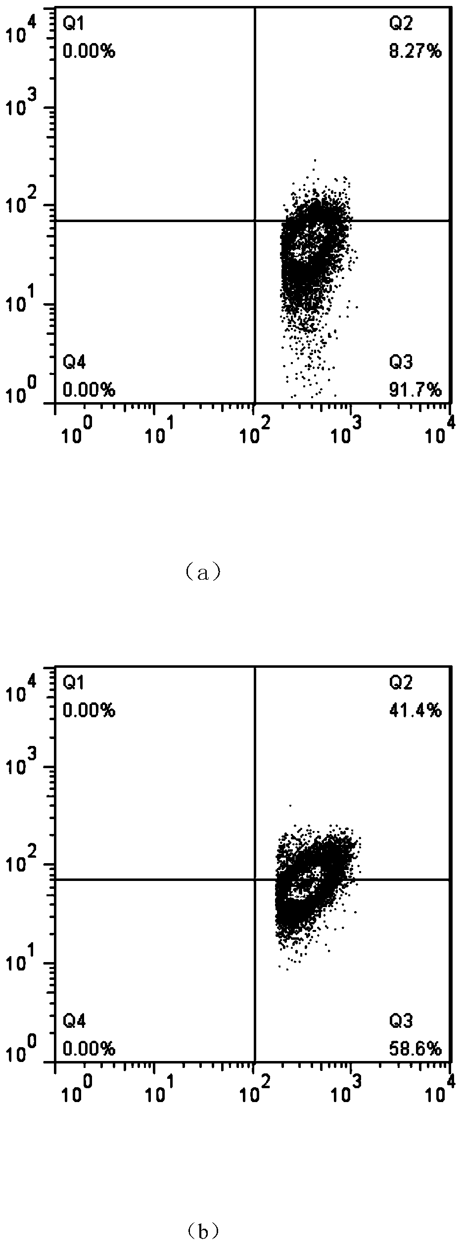 Culture method for regulatory T cells (Tregs) of mice by inducing of aggregation-induced emission luminogen (AIEgen) DPA-SCP