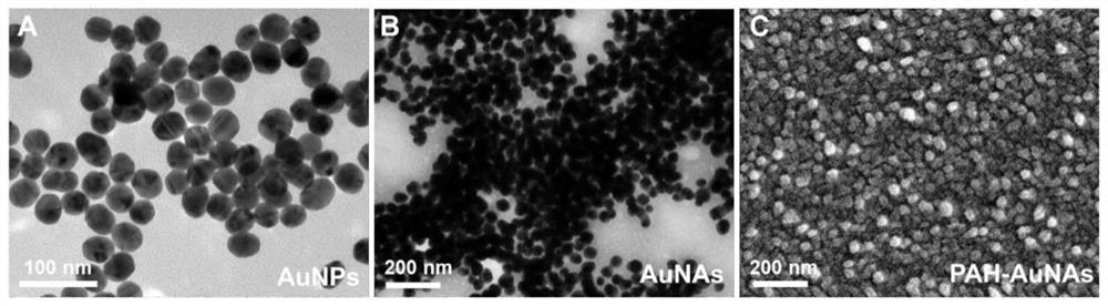 Surface enhanced Raman spectrum detection method based on aggregation restabilization strategy