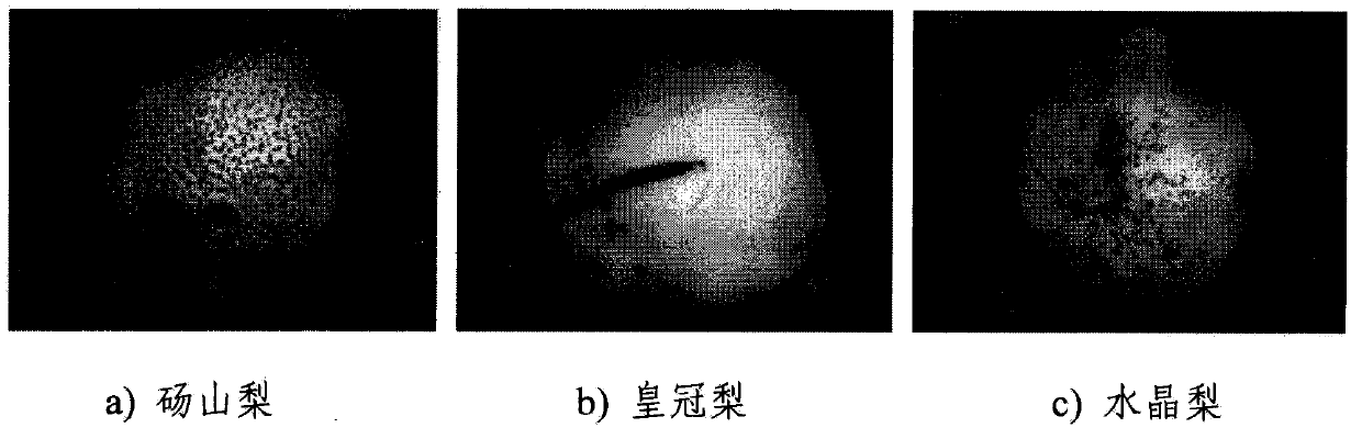 Pear surface defect detection method based on machine vision