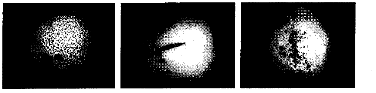 Pear surface defect detection method based on machine vision