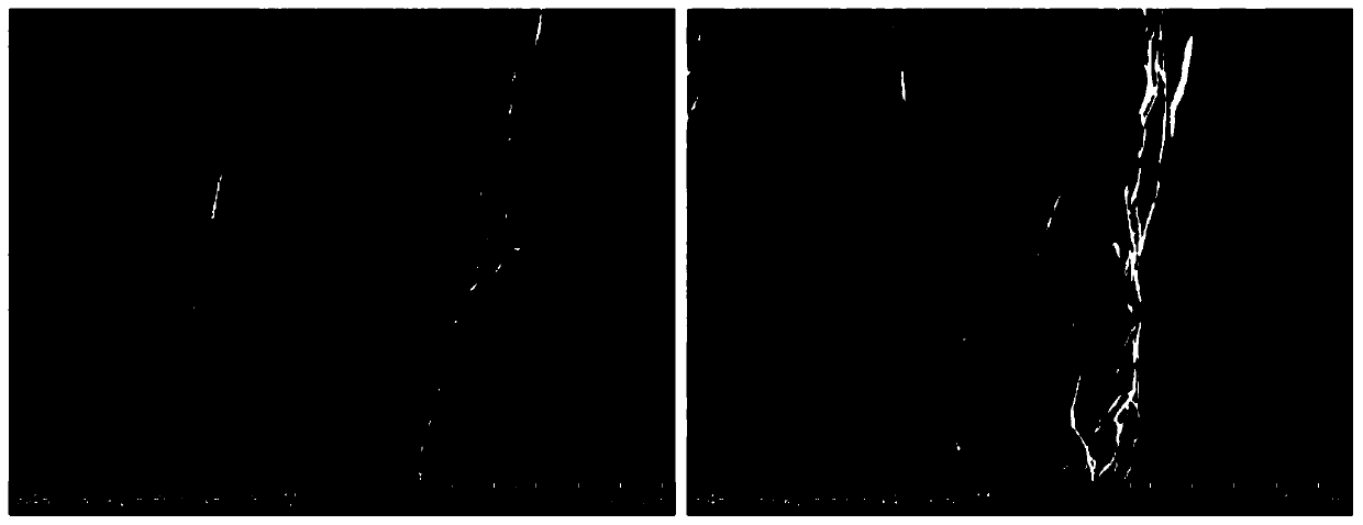 A kind of graphene-silver composite fiber and preparation method thereof