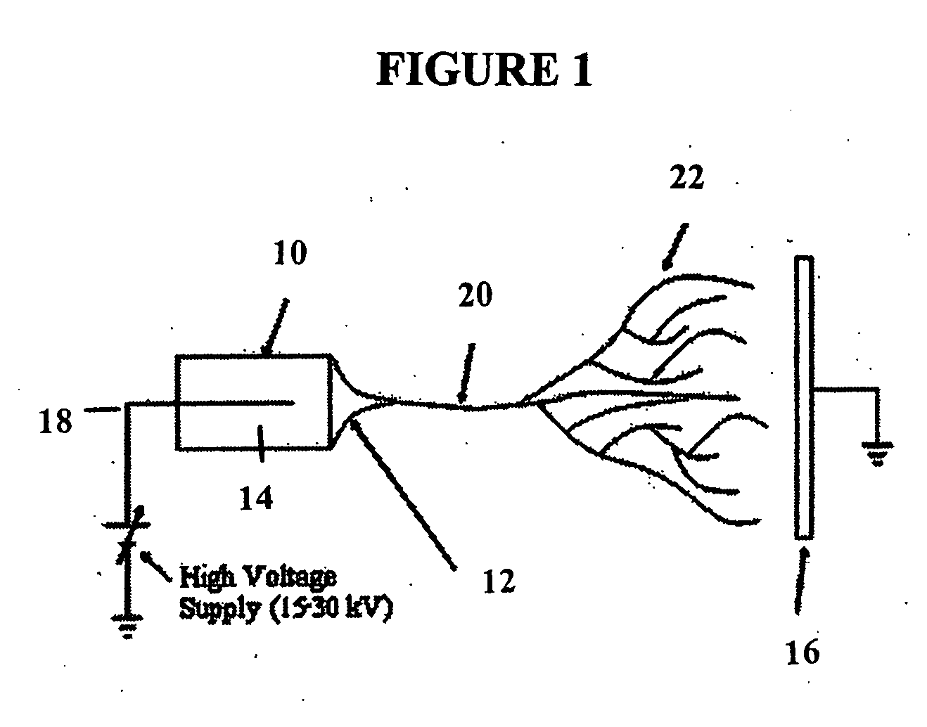 Production of tissue engineered digits and limbs