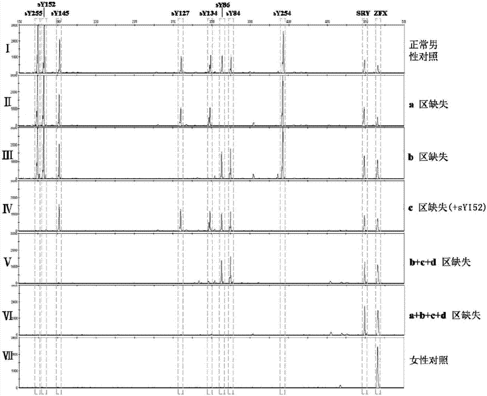 Multiplex PCR (polymerase chain reaction) primer set for detection Y chromosome microdeletion, kit and application