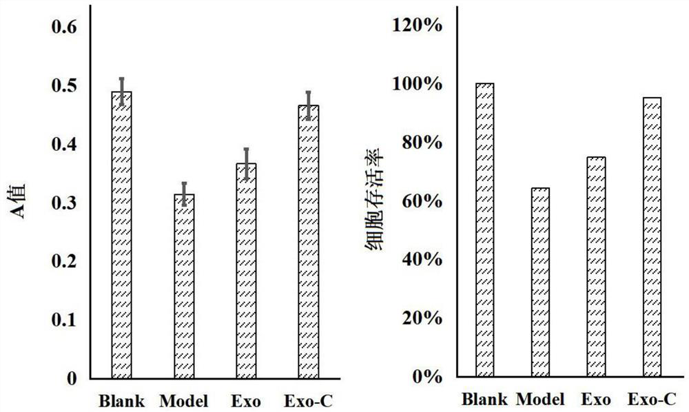 Neural stem cell exosome and application thereof in treating neurodegenerative diseases