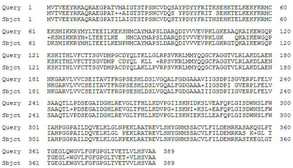 Eggplant chalcone synthase SmCHS1 protein and coding gene thereof