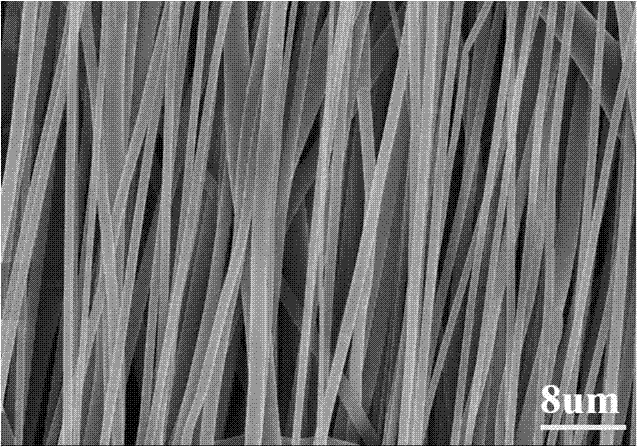 Nerve tissue engineering electric conduction nano-fiber tubular stent and preparation method thereof