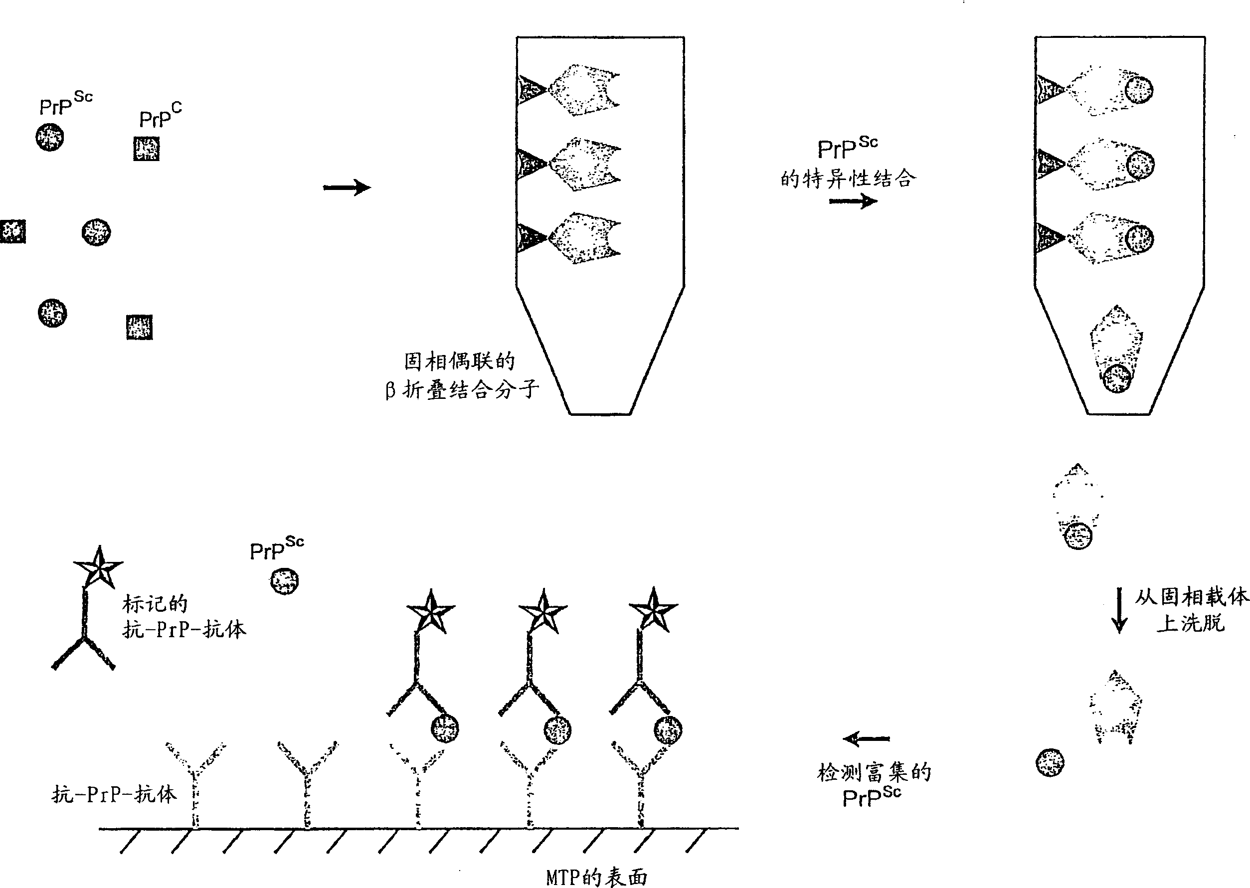 Method for enriching and tracking pathologic modified prions-proteins (PrP)