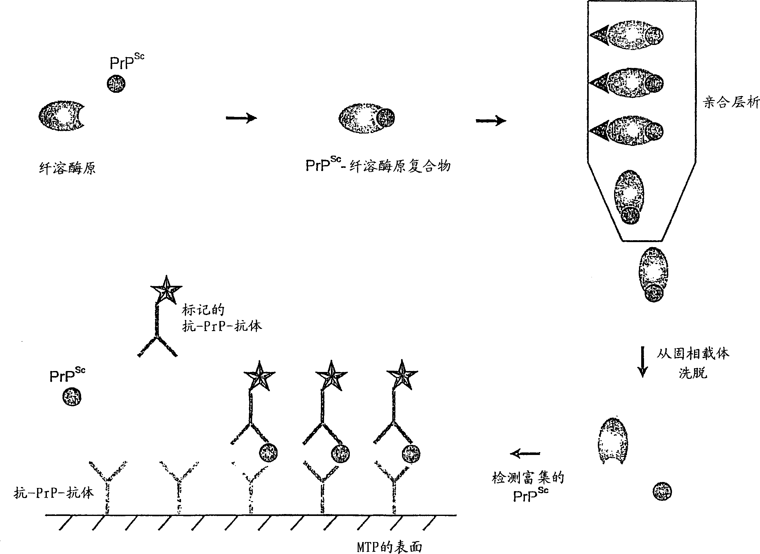 Method for enriching and tracking pathologic modified prions-proteins (PrP)