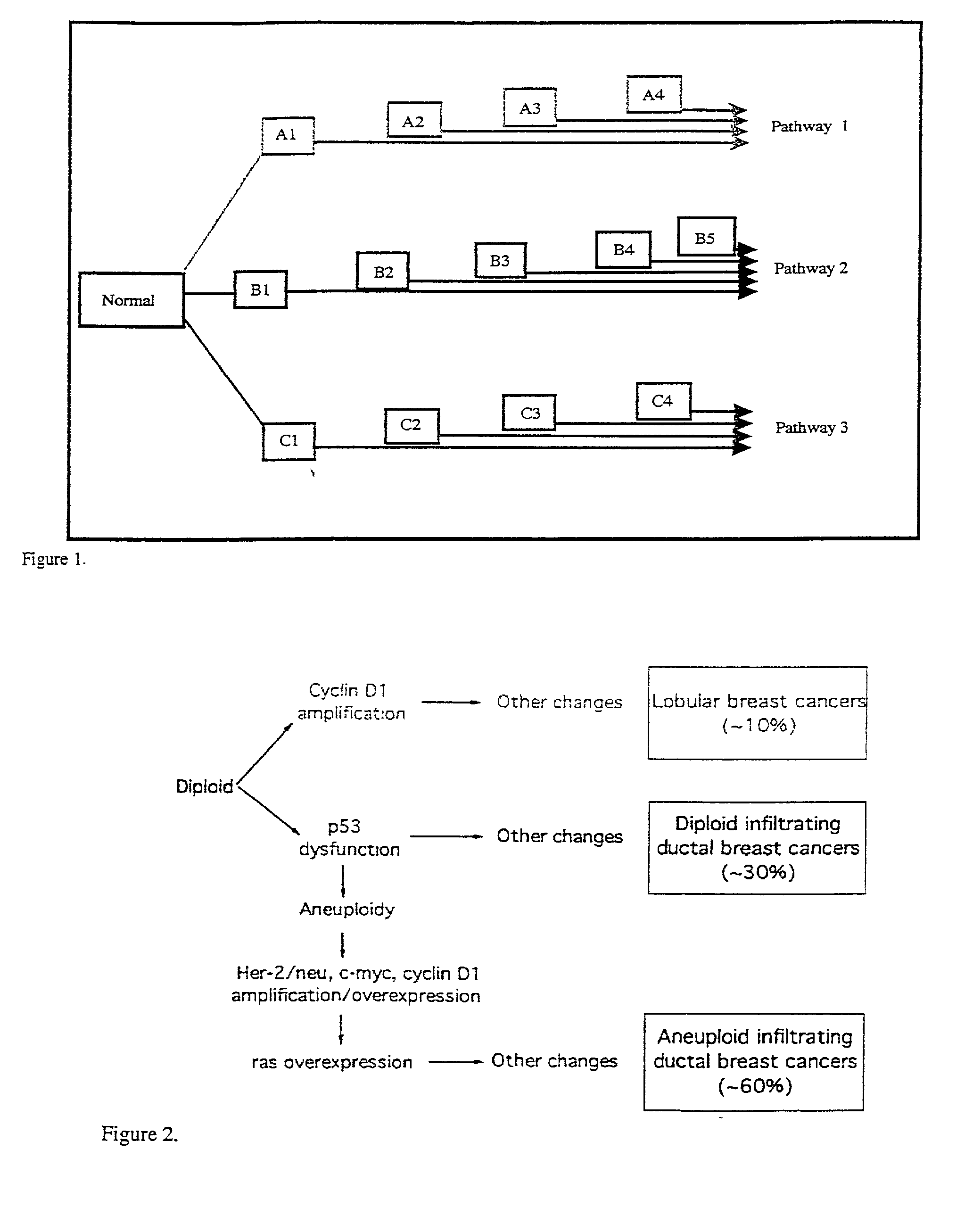 Method and apparatus for prognostic factor analysis regarding cancers