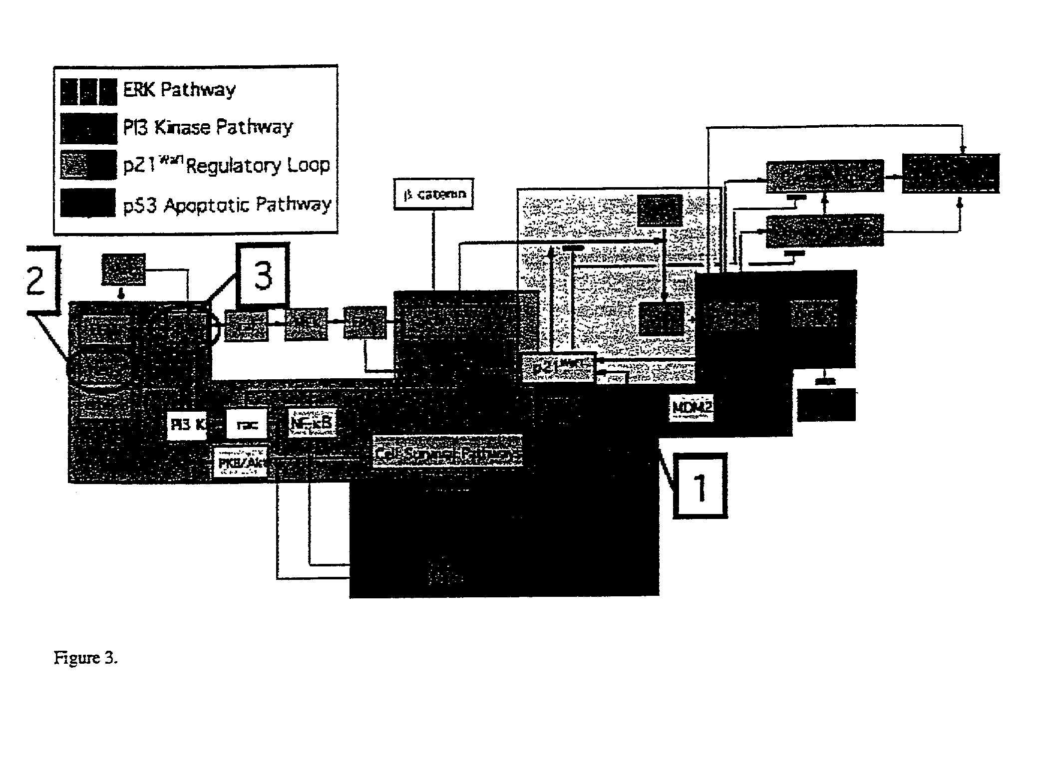 Method and apparatus for prognostic factor analysis regarding cancers