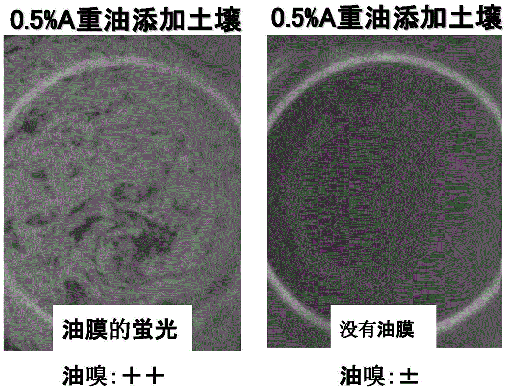 Soil biological repair method