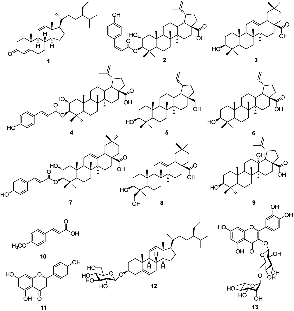 Jujube flower extract and antibacterial application thereof