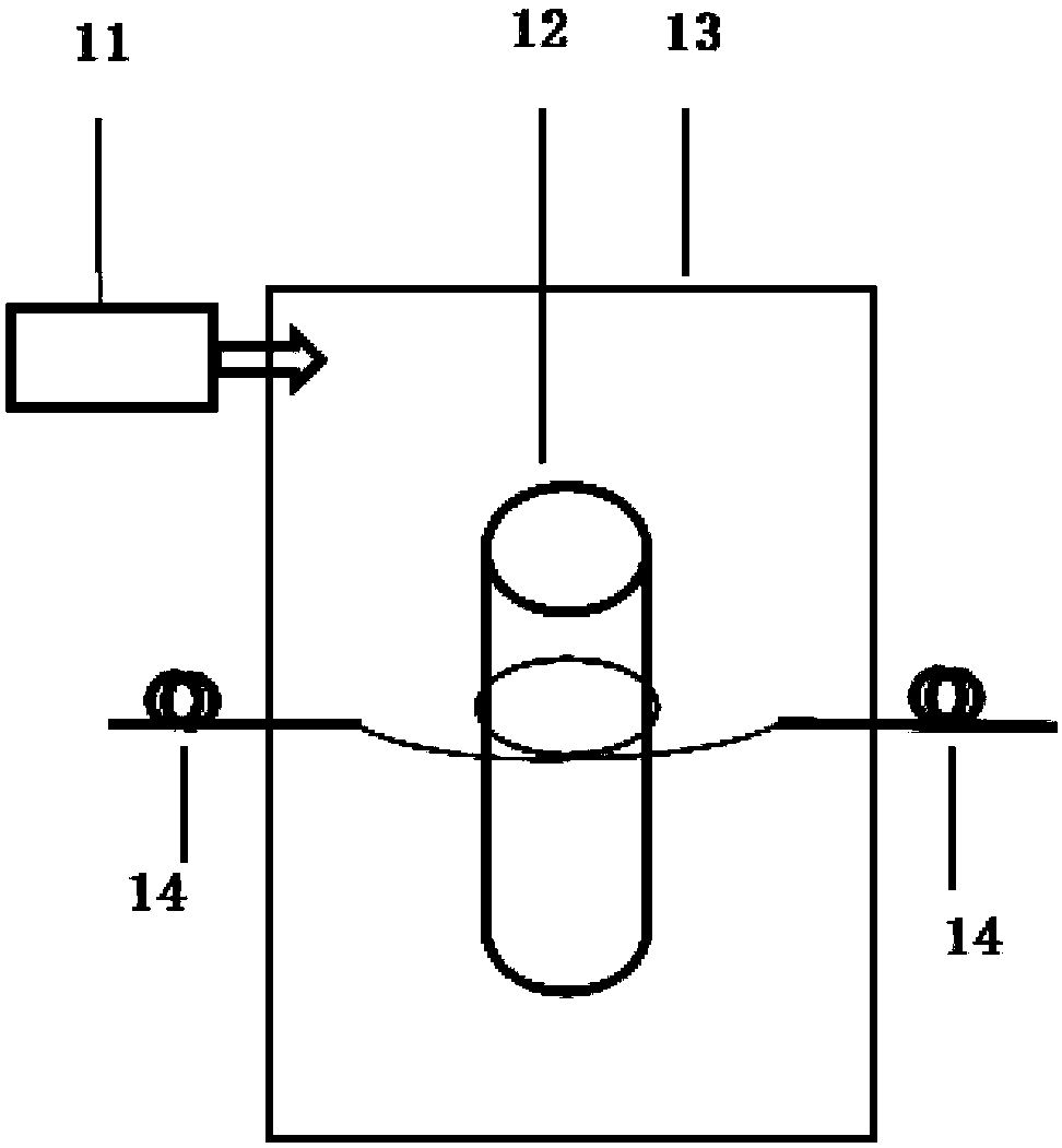 A detection system and method based on erbium-doped micro-nano fiber ring junction laser