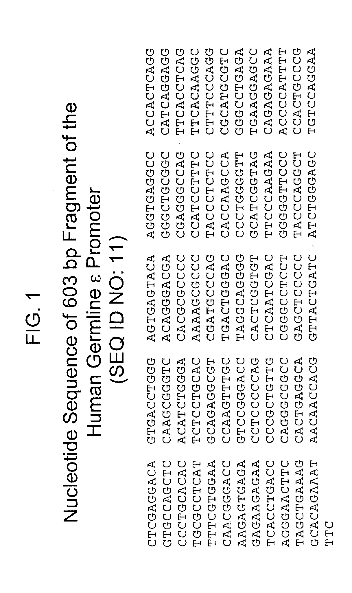 Methods of identifying compounds that modulate il-4 receptor-mediated ige synthesis utilizing a chloride intracellular channel 1 protein