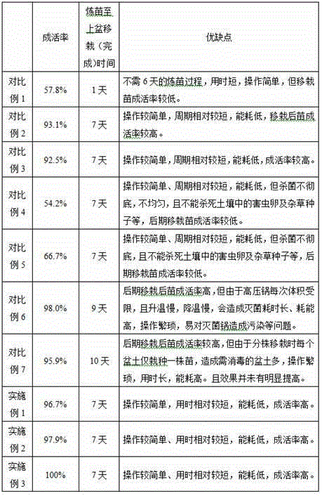 Acclimatization transition method for improving transplanting survival rate of tissue culture seedlings of nicotiana tabacum K326