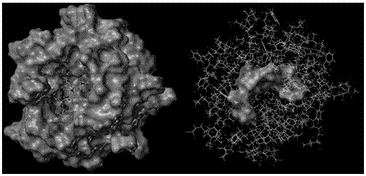 Hepatitis C virus ns5b RNA polymerase inhibitory polypeptide sequence and application thereof