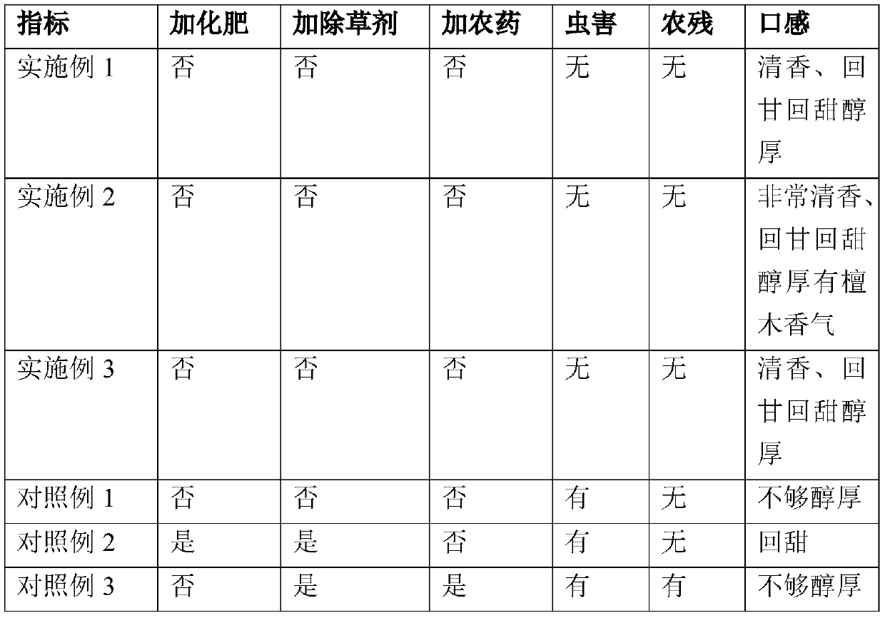 Method for planting rosewood and coffee trees