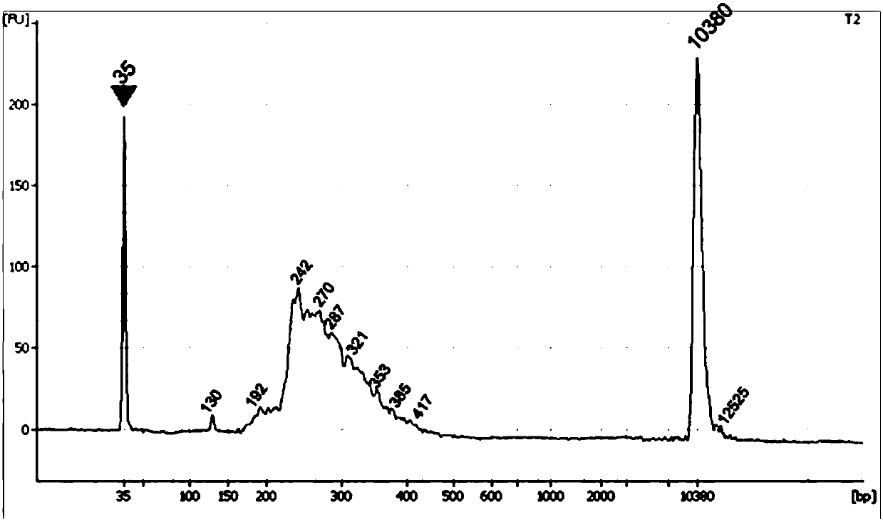 Liver cancer gene detection method, detection kit and application thereof