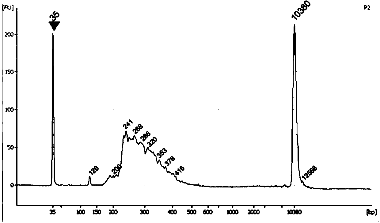 Liver cancer gene detection method, detection kit and application thereof