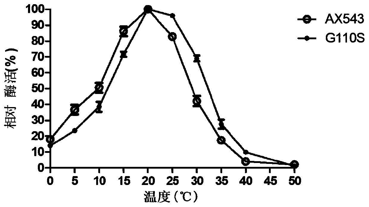 Low-temperature beta-xylosidase mutant with improved thermal stability and specific activity and encoding gene and application thereof