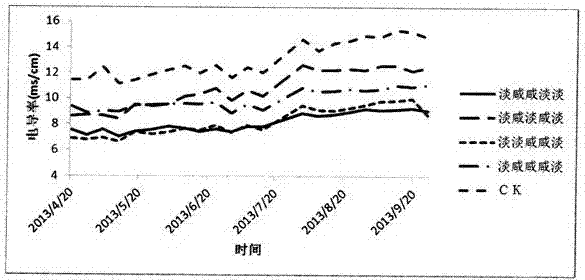 A brackish water irrigation method for Lycium barbarum in salinized irrigation areas