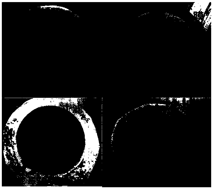 Dynamic membrane based on nuclear track membrane and preparation method and application of dynamic membrane