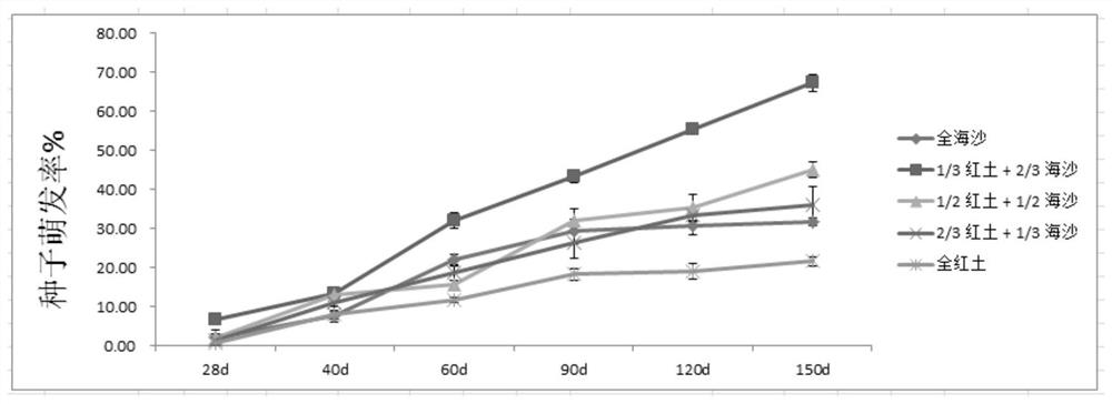 A kind of method for seed germination and seedling raising method of chrysanthemum