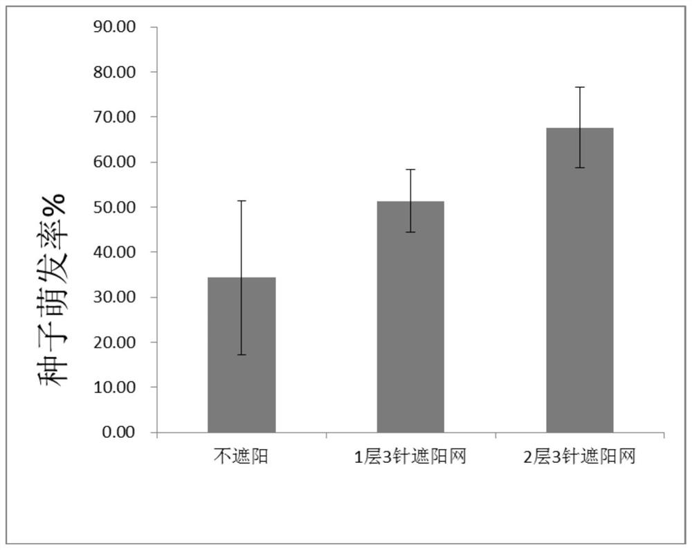 A kind of method for seed germination and seedling raising method of chrysanthemum