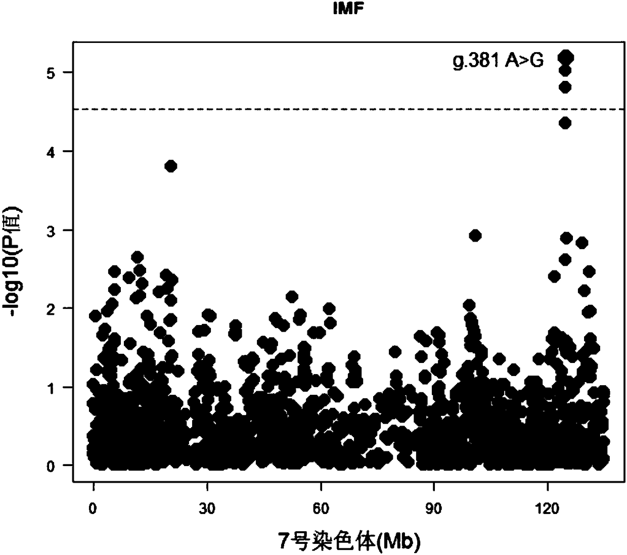 Molecular marker capable of influencing intramuscular fat content of Duroc boar and application