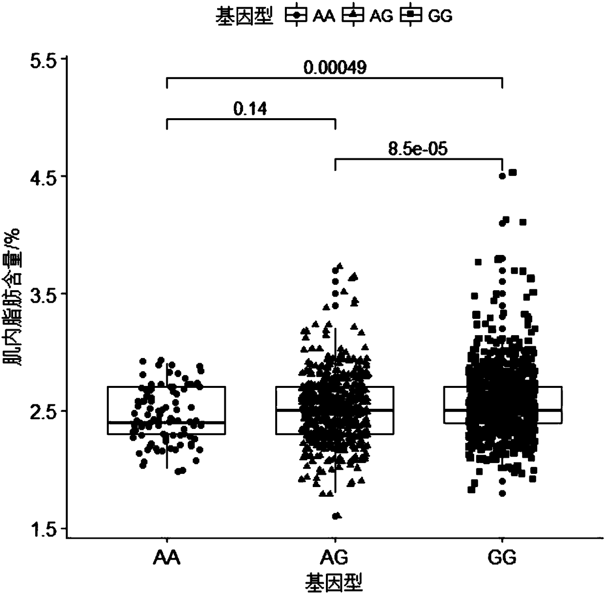 Molecular marker capable of influencing intramuscular fat content of Duroc boar and application