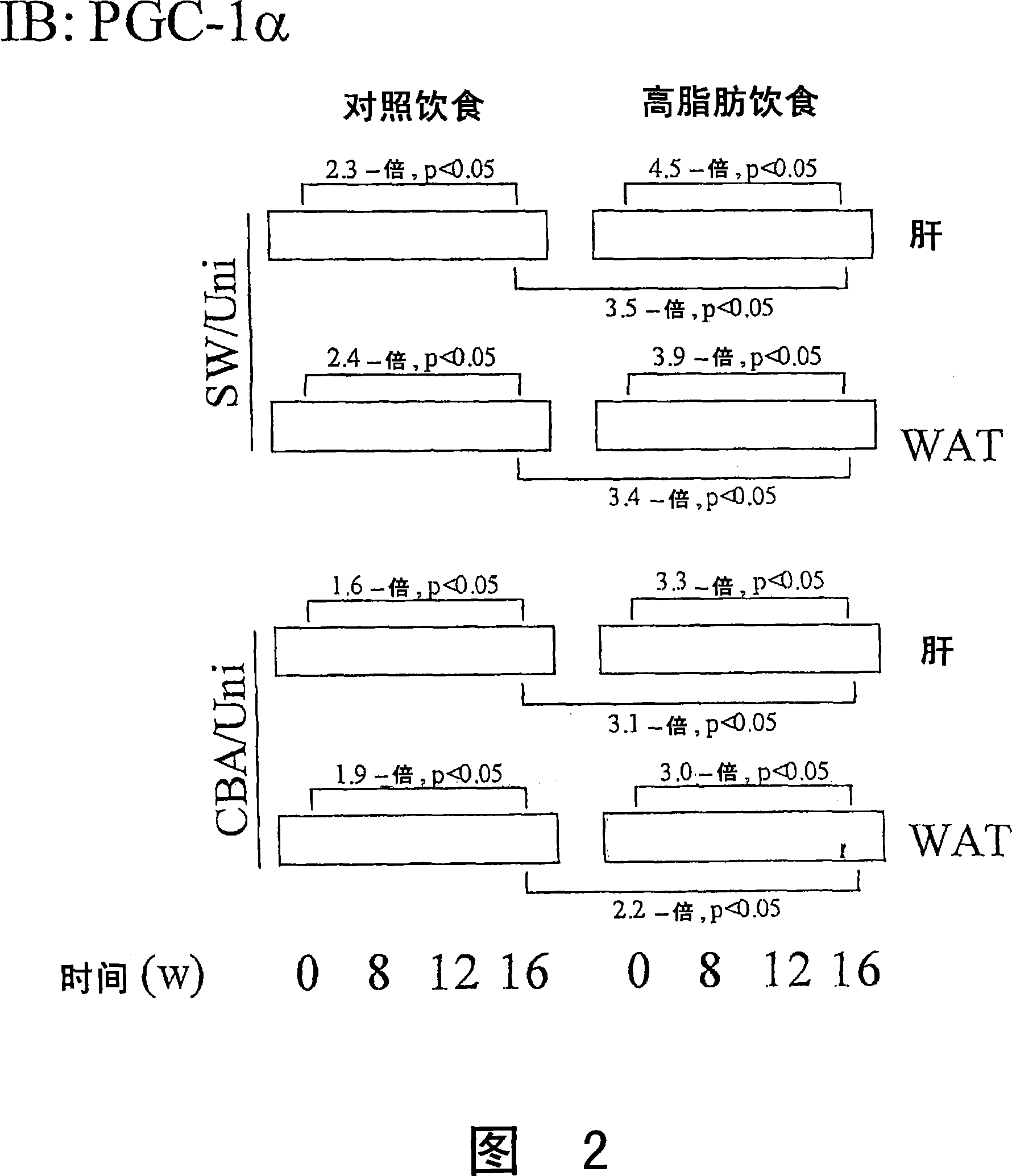 Inhibitor of peroxisome proliferator-activated receptor alpha coactivator 1