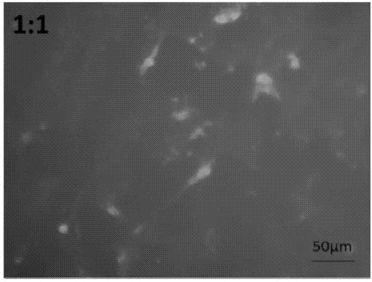 Preparation method of hemostatic material based on fibrin gel