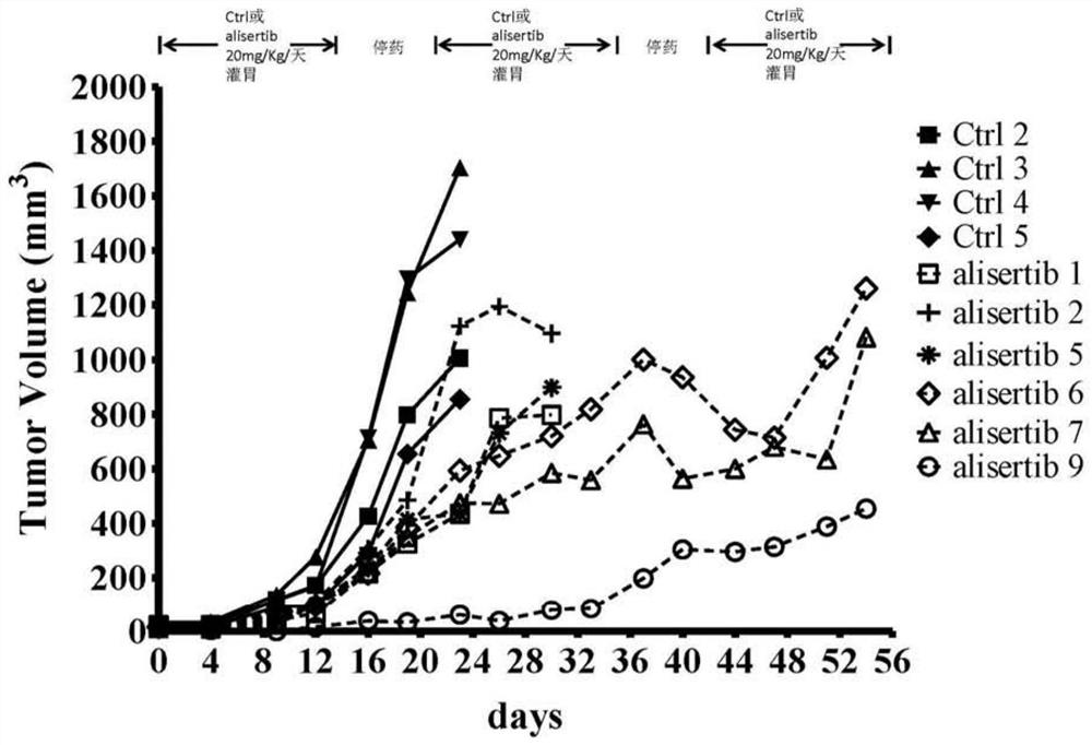 Application of stat1 promoter methylation detection in drug-resistant tumor cells