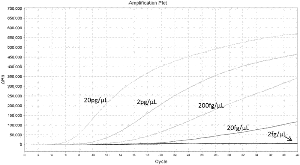 RAA (recombinase-aid amplification) constant-temperature fluorescence detection method and reagent for SIV (shrimp iridovirus)