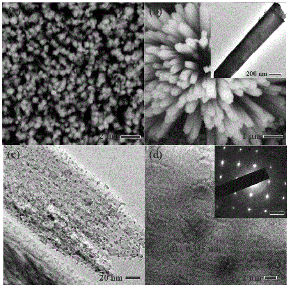 Preparation method of resistance switch adopting TiO2/SnO2 composite nano-rods